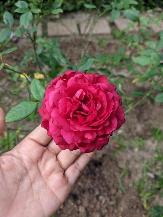 Willa Kim'S Garden Chi Khu Co Ong Zewnętrze zdjęcie